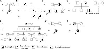 High Genetic Heterogeneity in Chinese Patients With Waardenburg Syndrome Revealed by Next-Generation Sequencing